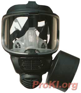 Click here to see the Promask - Our most popular product!